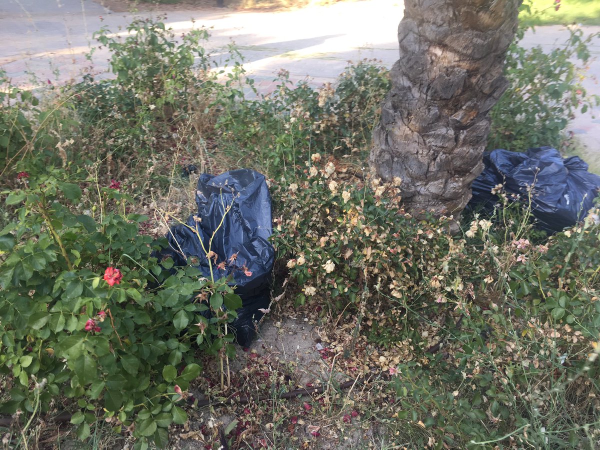 soniadelasheras's tweet photo. @aytogetafe todo Getafe está fatal de jardinería y limpieza,pero el parque cruce caminos del bercial es horrible. Que lo vea @LymaRedsocial https://t.co/B0BJAr8jLD
