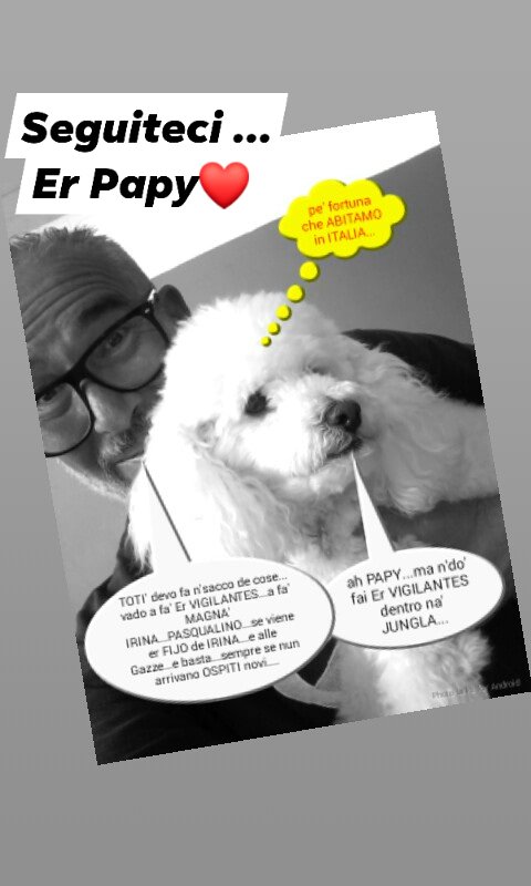 ErPapyAnimalist's tweet photo. Succede de #Domenica a...
❤#CasaDerPapy❤
By...
💛#ErPapy💛 https://t.co/MMuJs8kM3y