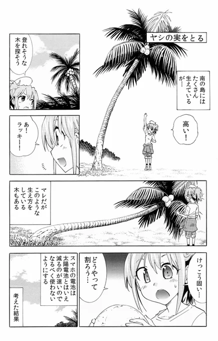 こちらが正しいヤシの実の割り方です！ヤシの実は三層の分厚い皮に覆われていて簡単には割れないのです 