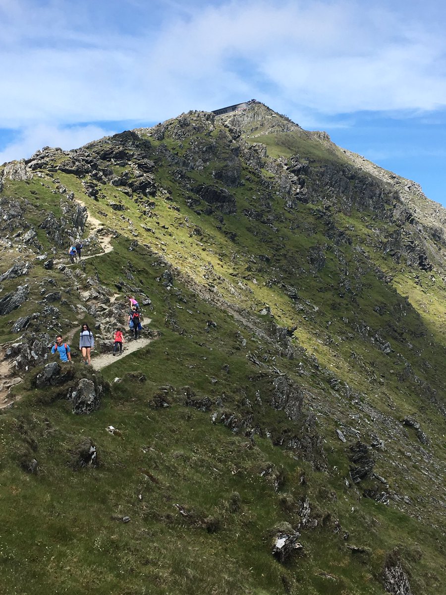 Elaine Willmore tweet media