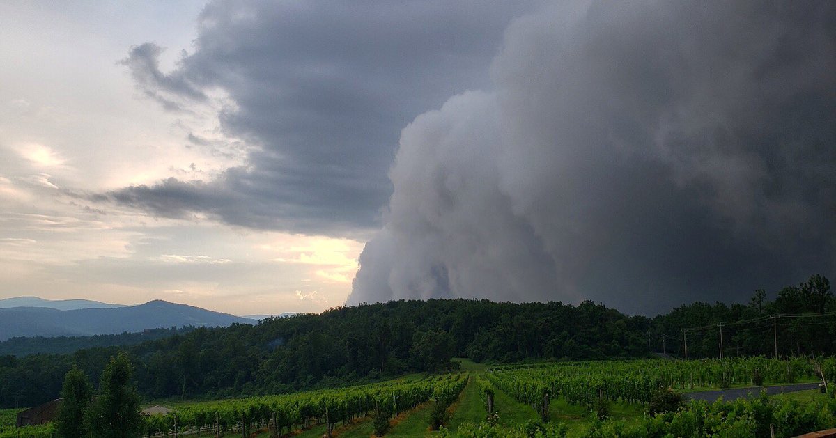 Storm rolling in last night during sunset in the vineyard.