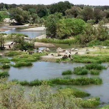 الم أشري ... أشرقون أشري
#اليوم_العالمي_للنوبة