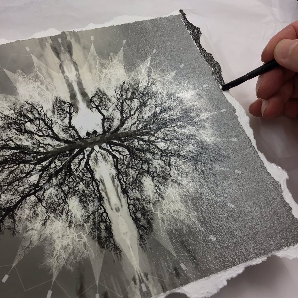 MarkWellandArt's tweet photo. EDGES AND BORDERS - I’ve always had a thing about the edge of something. Should it act as a container of space or a connector to another? 4 new Platinum Bonsai at 22cm squared being prepared for the @fpsartistgroup summer show from 15th July @muse_at_269 . #connections #tornedges https://t.co/VHuFo62cIl