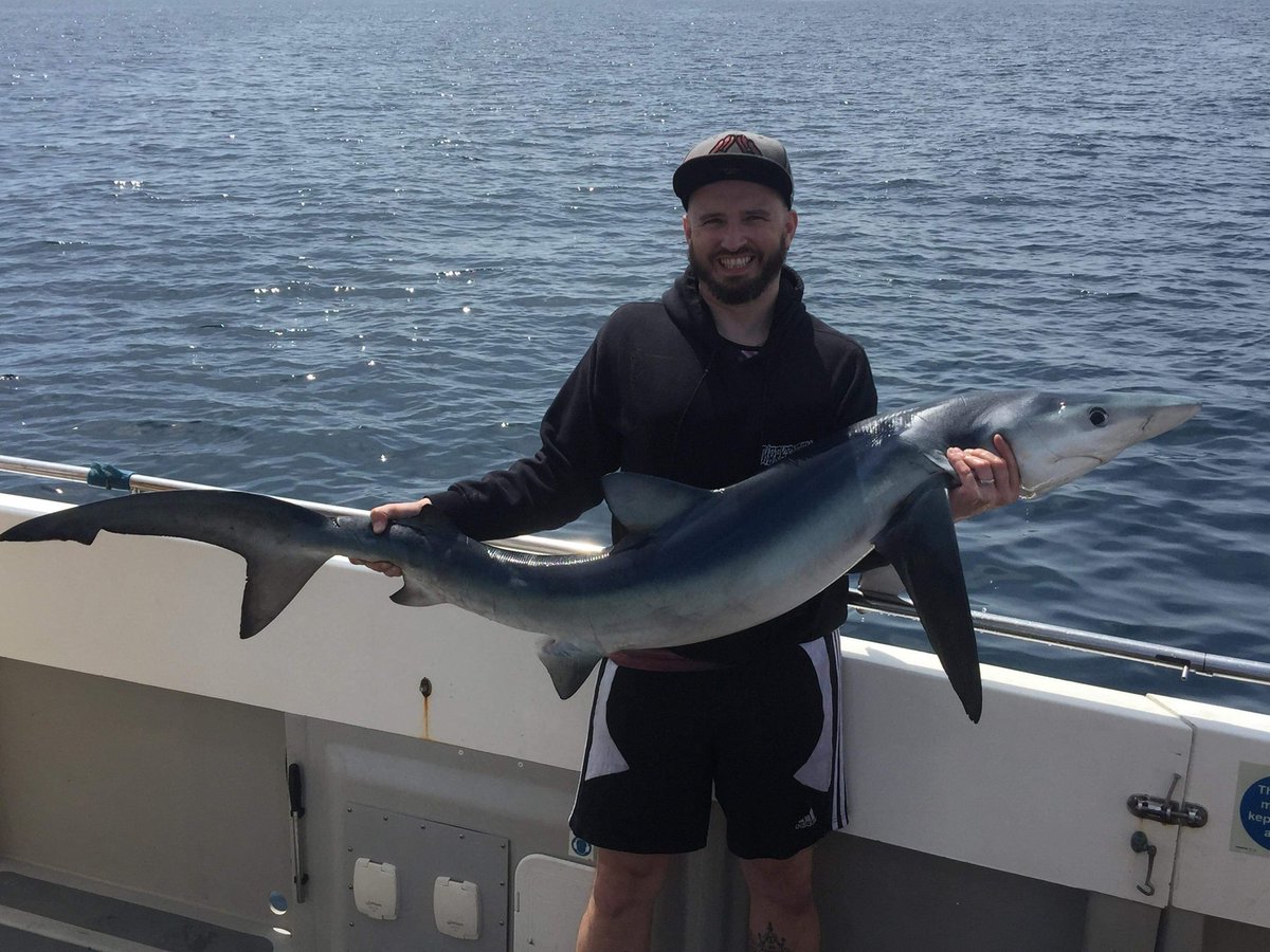 inkedmac's tweet image. That feeling when you took onto a 60lb blue shark