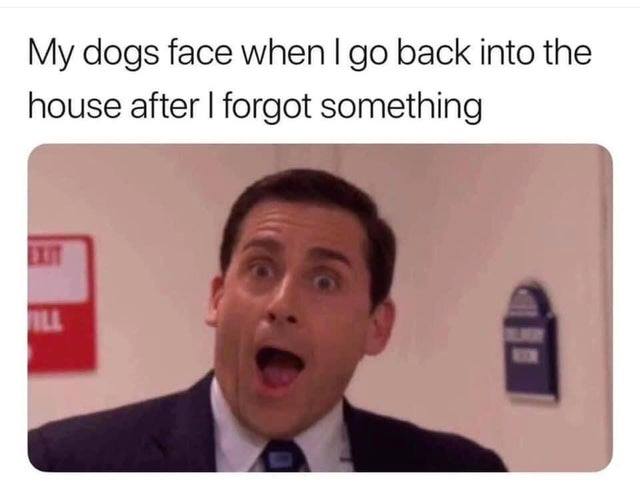 Dogs are the best.