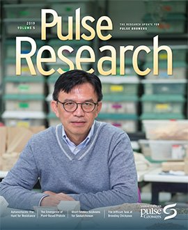 SaskPulse's tweet image. Have you had a chance to dive into the 2019 Pulse Research Magazine yet? Articles cover the hunt for Aphanomyces resistant peas and lentils, mapping and understanding the chickpea genome, and more. Read the magazine here: bit.ly/2GuaCUu #agtwitter #pulseresearch