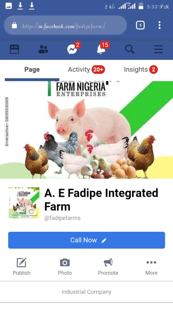 fadipeabayomi7's tweet photo. Do you know you can get 10% ruturn on your investment monthly by investing into our palm kernel oil extraction factory https://t.co/ZaYgRoNDo2