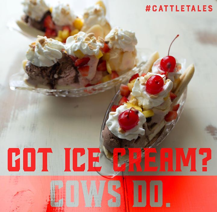 CattleTales's tweet photo. Your Sundae Funday is sponsored by #NationalIceCreamMonth ... and cows, because cows are udderly amazing😎
#CattleTales https://t.co/mKx4LCyglz
