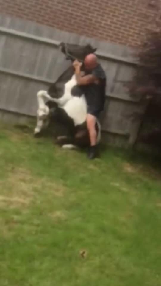 Rosie Doc tweet media