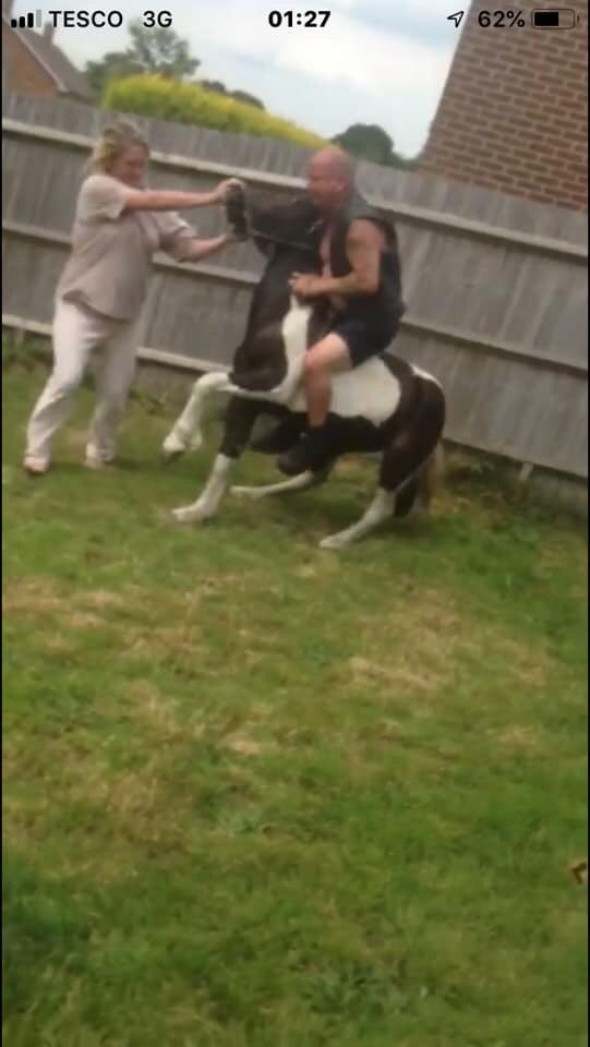 Rosie Doc tweet media