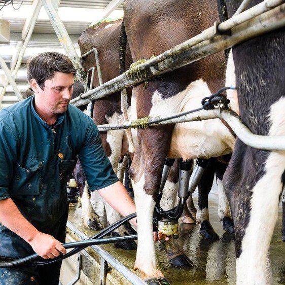 One week left to submit your application to transform the primary sector!

We're supporting The Rural Innovation Lab - Manawatū-Whanganui as they search for problem solving innovations. Applications close 15th July.

For more info and to apply, see here:
bit.ly/2KTTwly