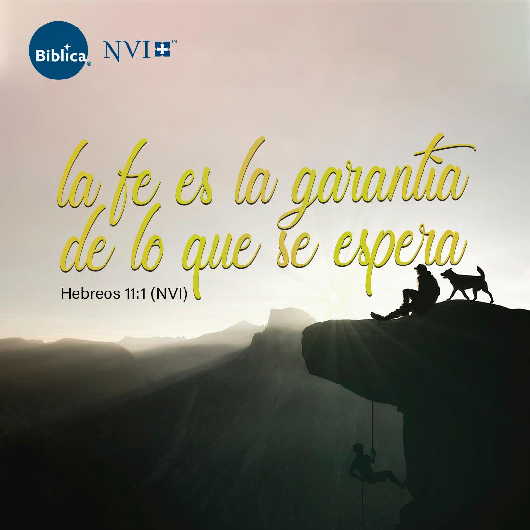 BiblicaLA's tweet photo. «Ahora bien, la fe es la garantía de lo que se espera, la certeza de lo que no se ve». Hebreos 11:1 #VersículoDiario #BibliaNVI #SantaBiblia #LaBiblia https://t.co/GyIYv1wPNa