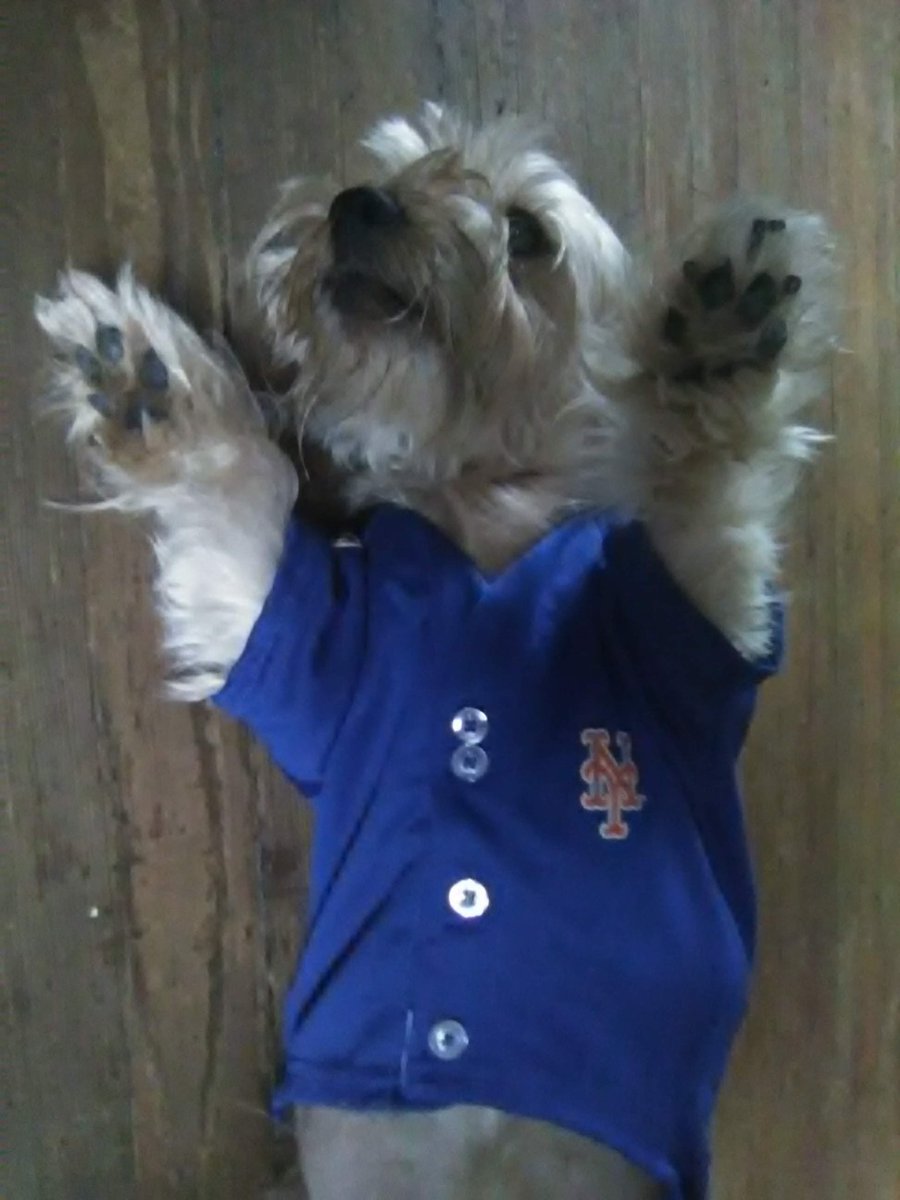 Juan L Mojica tweet media