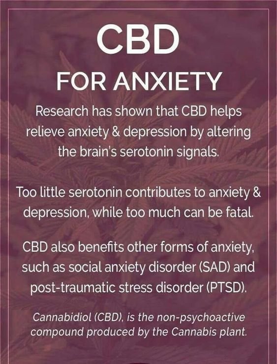 Always Wanted To TRY CBD Before you Bought it? Now you can! We partnered with NEUNatural CBD to offer FREE CBD Tincture!
Get yours Below!
bit.ly/2NA5lQD