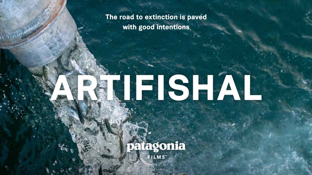 Local Happenings around Town - mailchi.mp/e01572f1439e/l…