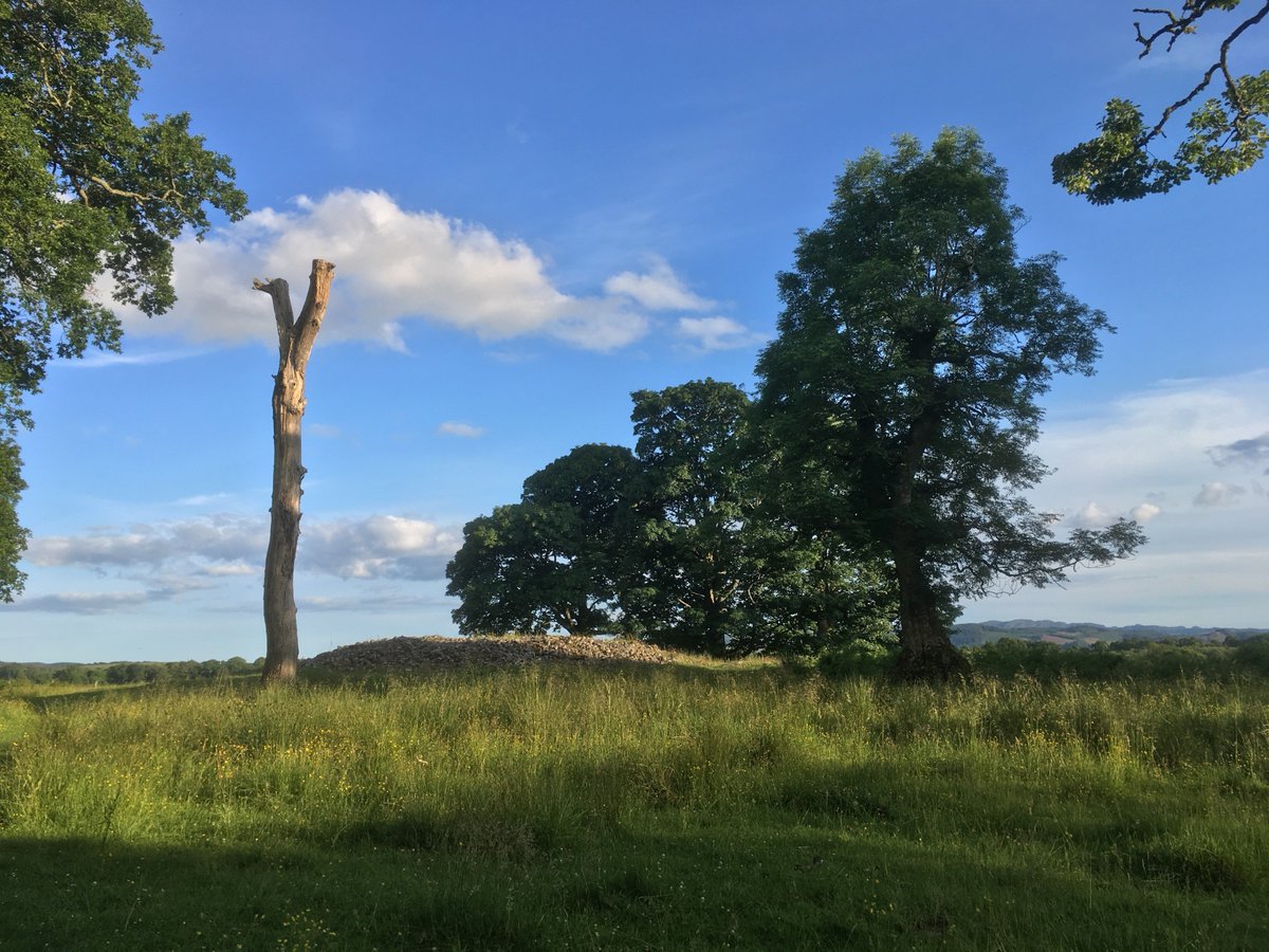 Kilduskland's tweet photo. A long dead tree column guarding one of the many ancient burial cairns in Kilmartin Glen, easily mistaken for a giant's walking stick! #argyll #neolithicsites https://t.co/w31UJ0FaY9