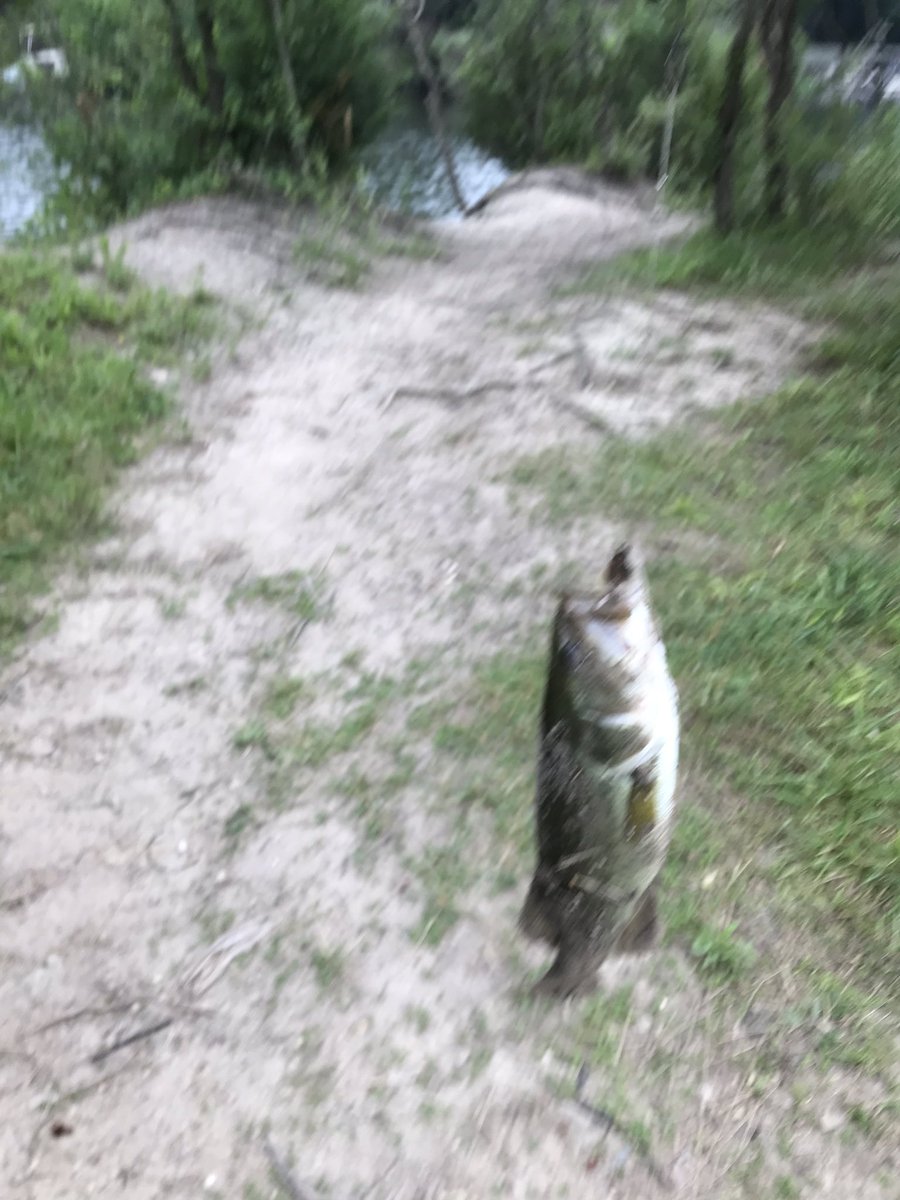 KMGFromChicago's tweet photo. #FunIn5Words Fishing at a secluded Lake! https://t.co/dfVxftBXZS