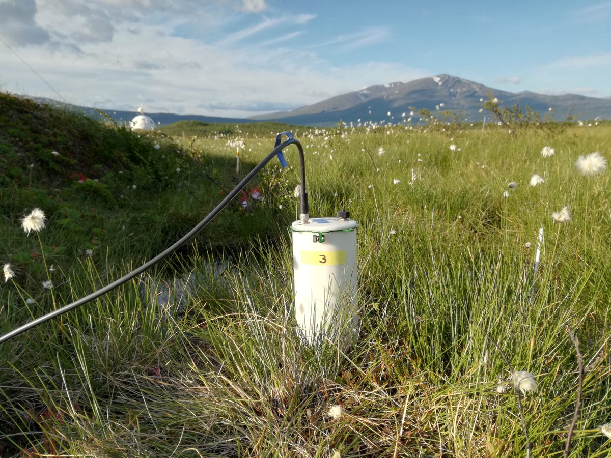 GeomicroTueb's tweet photo. This summer we're using these #eosFD soil #CO2 flux sensors in #Abisko to test whether changes in soil minerals during permafrost collapse lead to higher greenhouse gas emissions. Thanks @eosense! https://t.co/p2jz0c7Lom