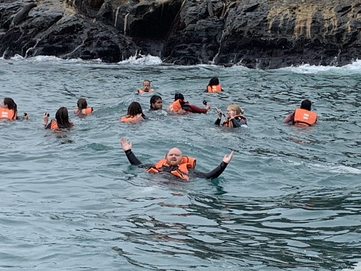ShannonSeigle's tweet photo. Swam with sea lions off Palimino Island in the Pacific Ocean, saw Humbolt penguins, pelicans, and Peruvian boobies (birds with white heads). Excellent start to our time in Lima! @mrSTEMcredible #FFTfellow #stemcrewdoesperu @STEMcha @pefchattanooga @FundforTeachers https://t.co/iRU7u9o2tu