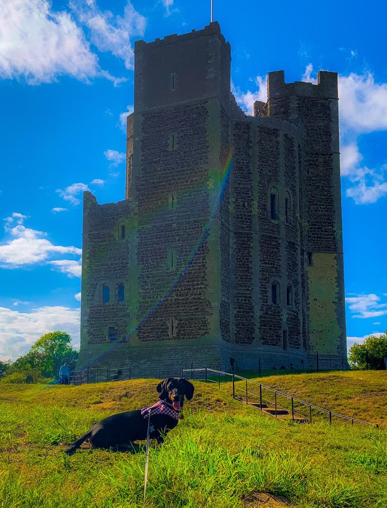 whenyourtoocute's tweet photo. Be it ever so humble .... there’s no place like home ~King Ralphie!! @king_Ralphie1st #IWearTheCrown https://t.co/M6FTfXfecP