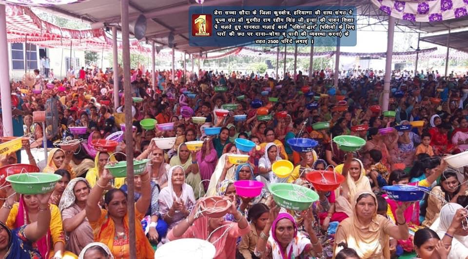 GirlAdolz's tweet photo. #BirdsNurturingDrive @derasachasauda St.@Gurmeetramrahim ji Always encouraging people to keep feed &amp; water for birds on rooftops https://t.co/jmSDsHBNr8
