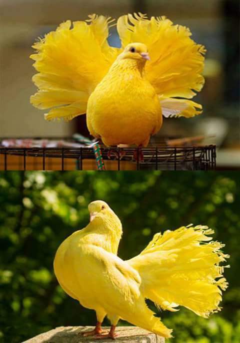 ನಿಮ್ಮ ತಪ್ಪಿಗೆ ಇತರರನ್ನು ದೂರುವ ತಪ್ಪು ಮಾಡದಿರಿ. 
ಬದಲಾಗಿ, ಧೈರ್ಯವಾಗಿ ನಿಮ್ಮ ಹೊಣೆಗಾರಿಕೆಯನ್ನು ನೀವೇ ವಹಿಸಿಕೊಳ್ಳಿ, ತಪ್ಪನ್ನು ಒಪ್ಪಿಕೊಳ್ಳಿ.
ಹೇಳಿ ನಾನು ಅನುಭವಿಸುವ ಈ ಸಂಕಟಗಳಿಗೆ ನನ್ನ ದುಷ್ಕರಗಳೇ ಕಾರಣ. ಆದ್ದರಿಂದ  ಈಗ ಅವನ್ನು ಸರಿಪಡಿಸಿಕೊಳ್ಳಬೇಕಾದವನು ನಾನೇ ಎಂದು ಪ್ರಪಂಚ ಒಪ್ಪುತ್ತದೆ ನಮನ್ನು....
ಗುಡ್ ಮಾರ್ನಿಂಗ್.....