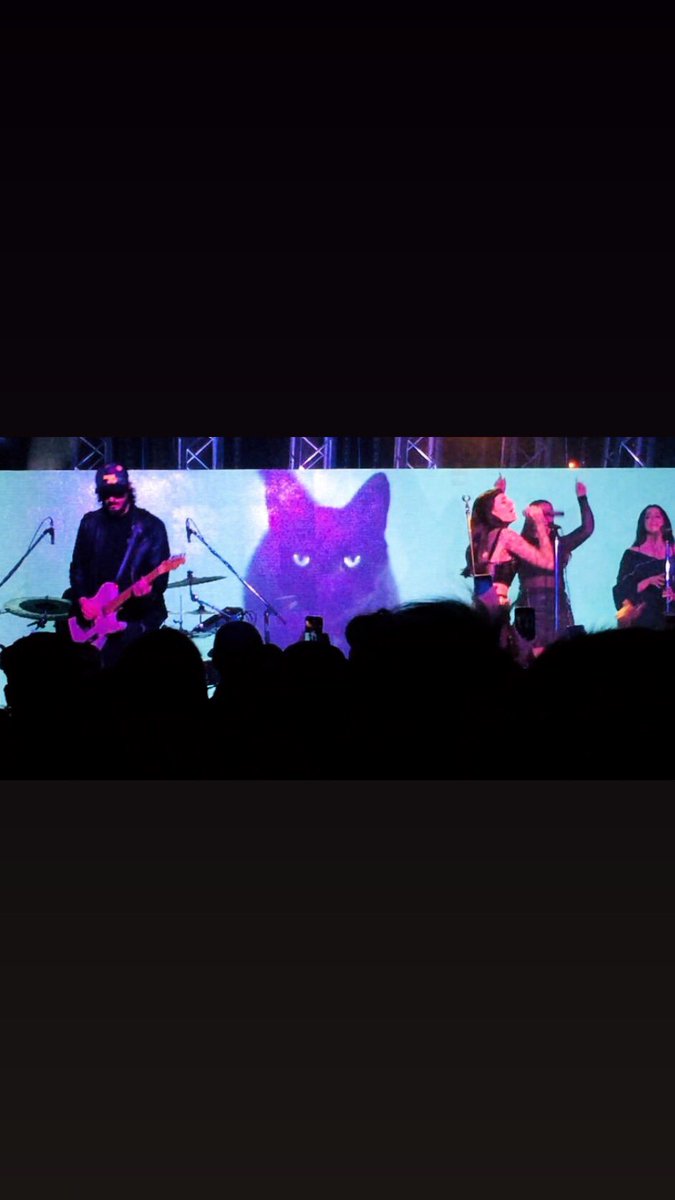 Fernando Cosenza tweet media