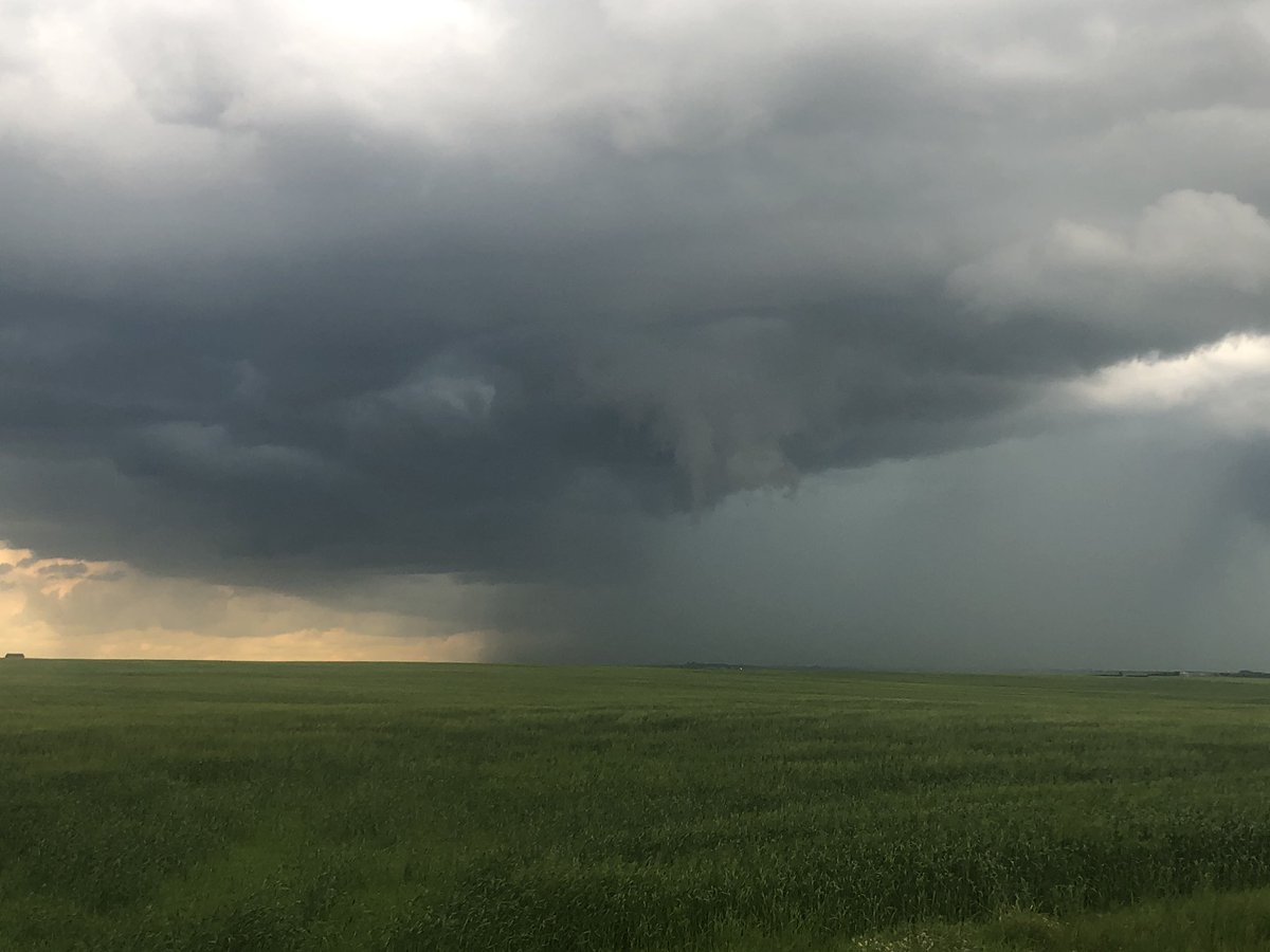 Jenny Hagan LostInSk tweet media