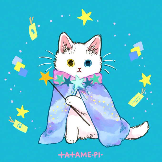 「白い猫 黄色眼」のTwitter画像/イラスト(古い順)