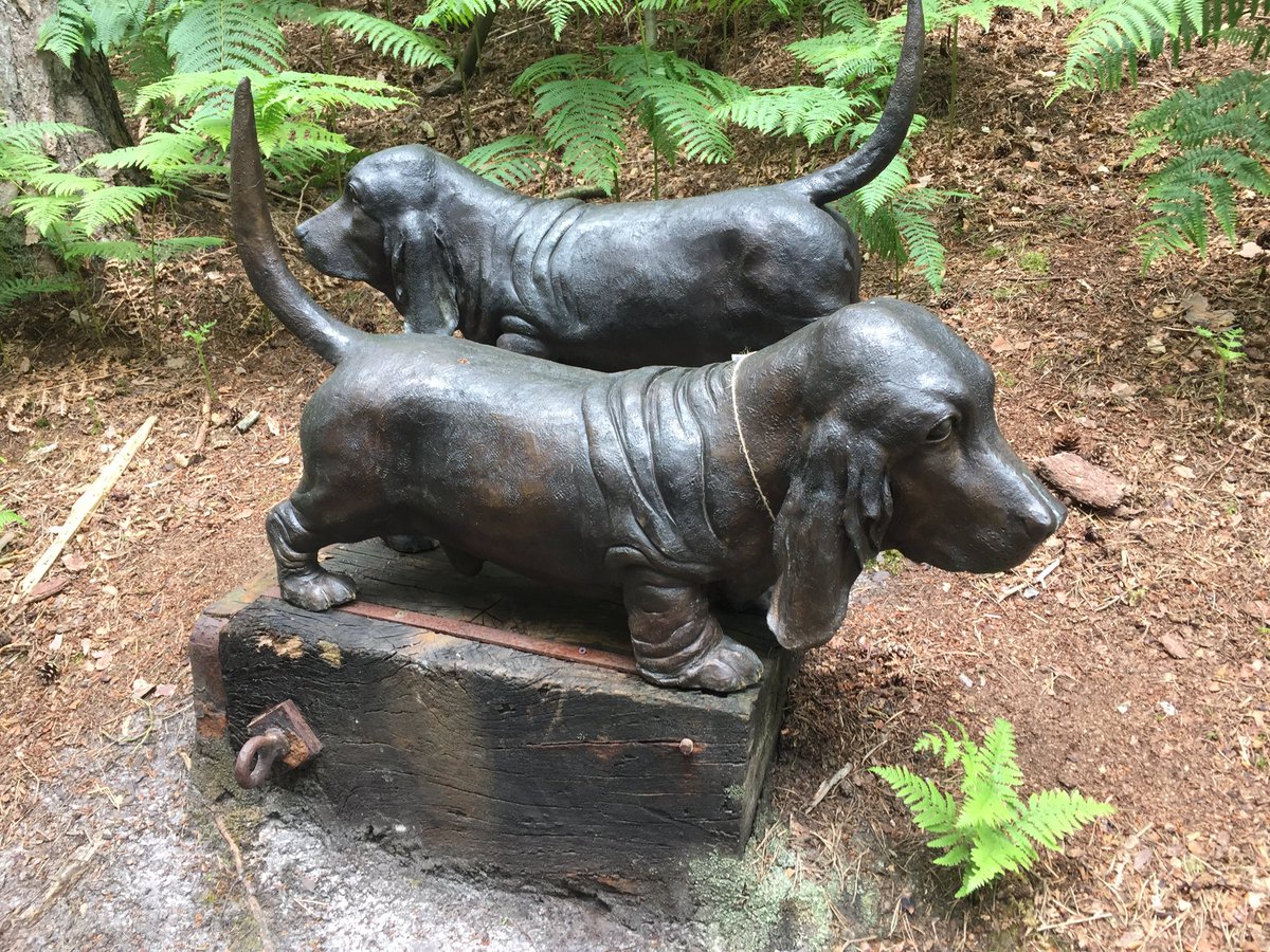 ⁦<a href="/DebAllcockTyler/">Debra Allcock Tyler</a>⁩ -  an absolute must for your garden. It would look gorgeous and give Arthur the mate he so clearly desires!