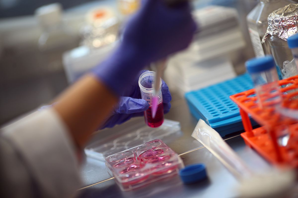 Health Canada in ‘overdue’ crackdown on unproven stem-cell based treatments dlvr.it/R7zcFl