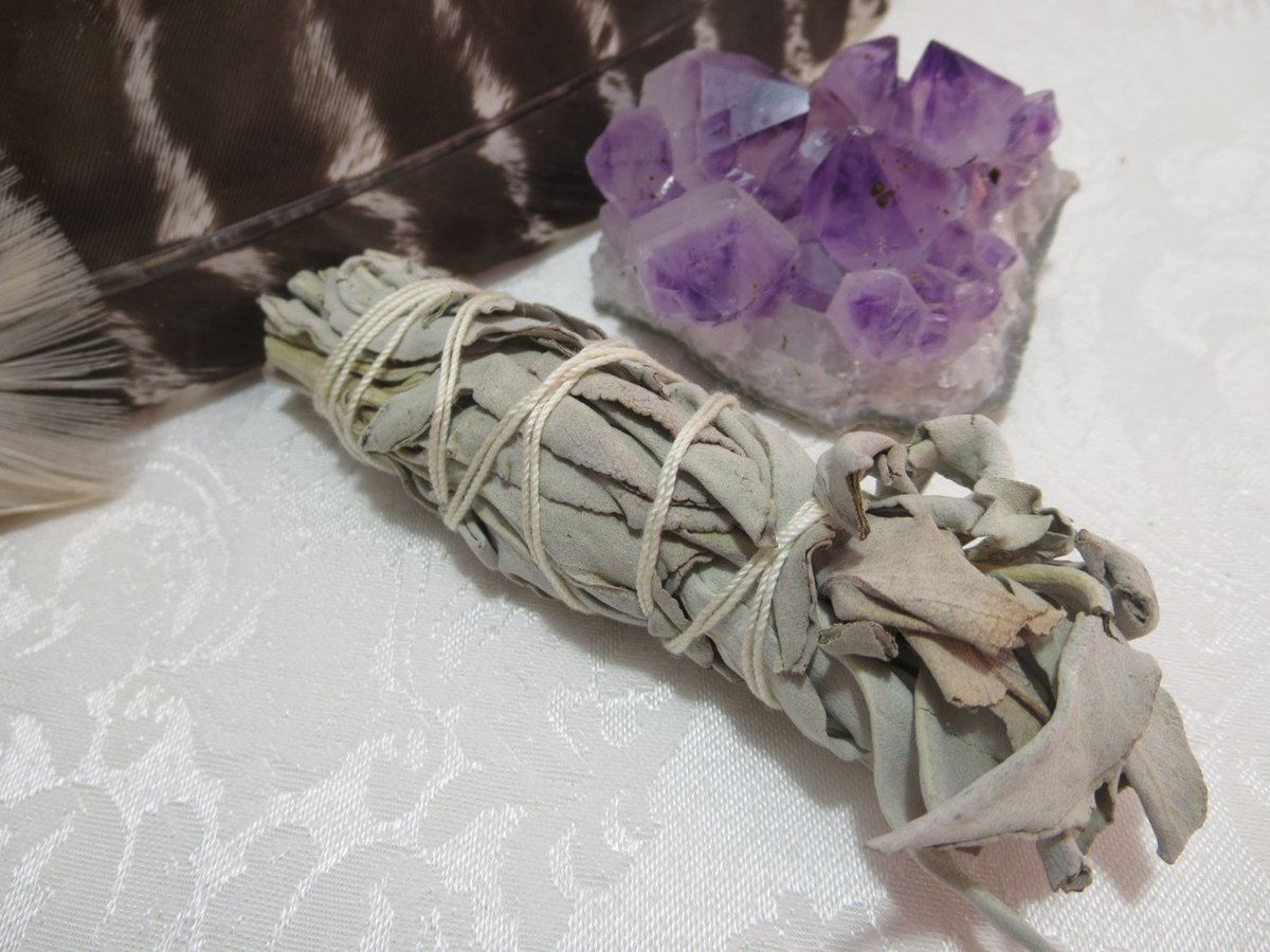 DragonstarC's tweet photo. New shipment of nice fresh white sage! https://t.co/lbHiEWgCkd #Etsy #Smudge #Whitesage #sagewand #smallbusiness #Maine #clensingherbs https://t.co/WOjOwusdsR