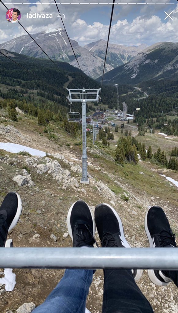 Barbie Harp tweet media