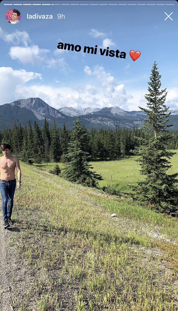 Barbie Harp tweet media