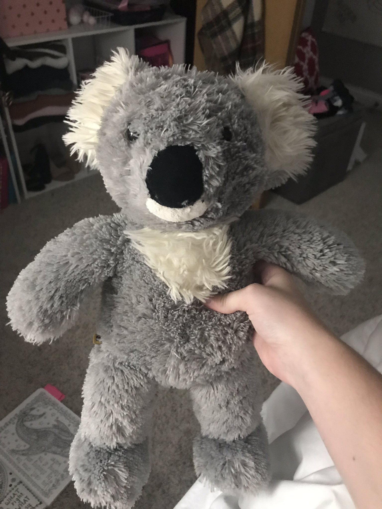 kenny the koala stuffed animal