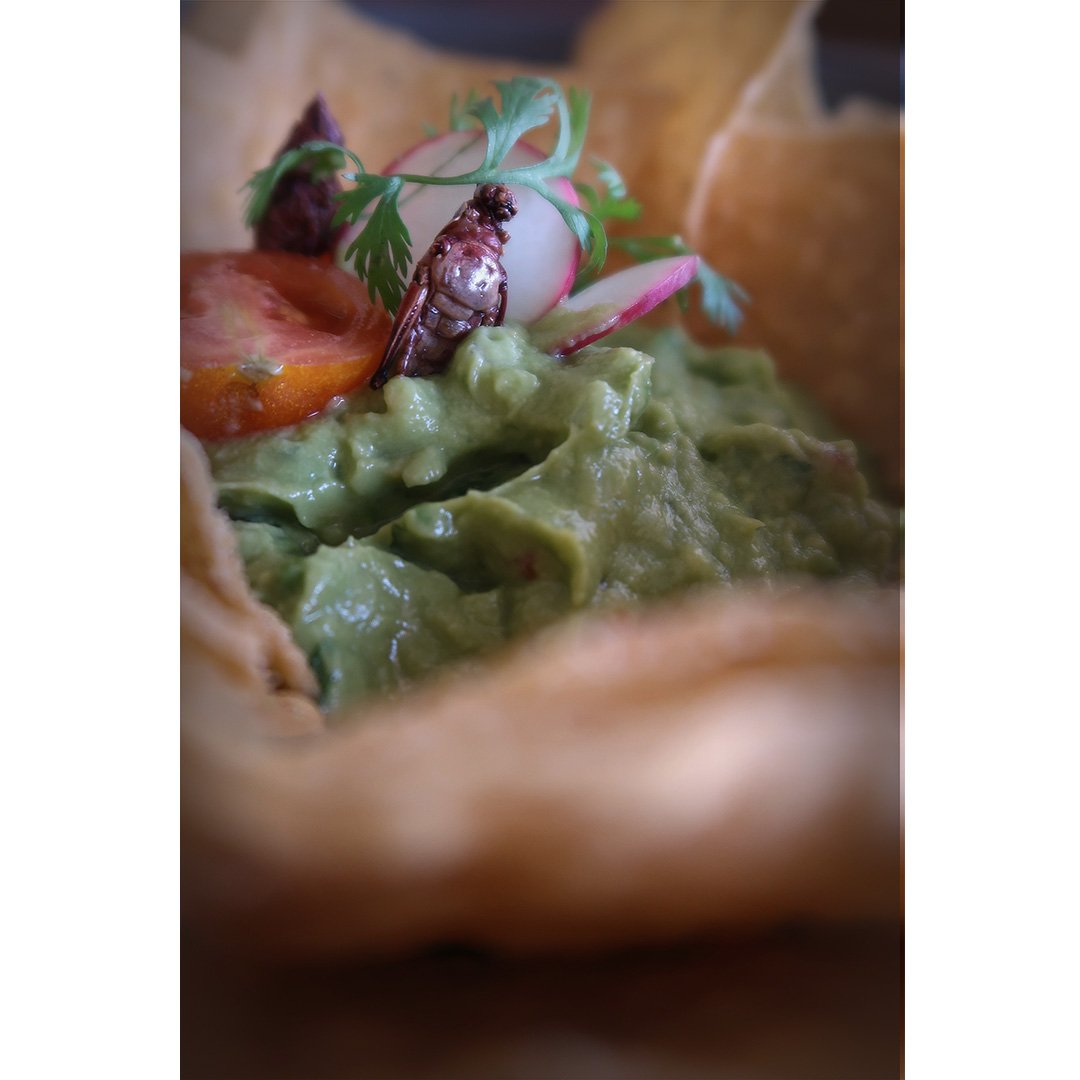 uts_ool's tweet image. Take the risk to do things out of the ordinary.
▪︎ ▪︎ ▪︎
Arriesgarse a hacer cosas fuera de lo común.
▪︎
▪︎
▪︎
▪︎
#ramonvalencia #ramonvalenciaphoto #freelance #playadelcarmen #thompsonplayadelcarmen