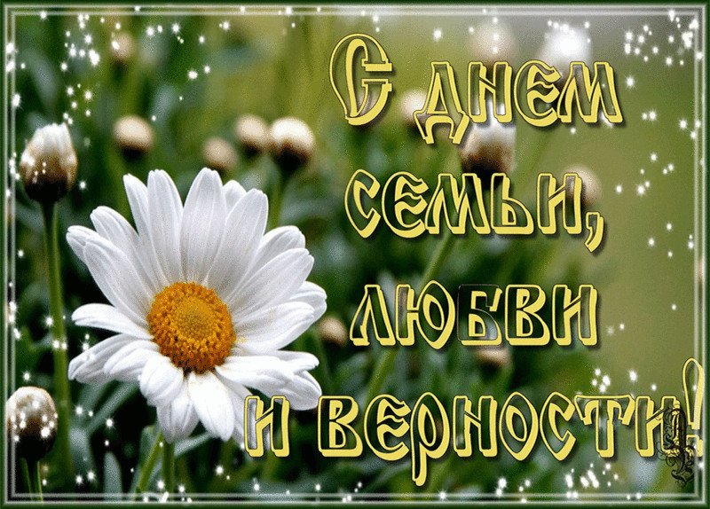 Картинки с днем семьи любви и верности поздравления красивые, для выжигания веселые