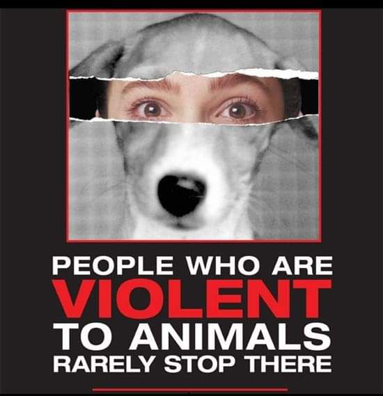 Disabled Animals On Twitter Please Sign Share This Petition Asking For An Animal Abusers Register To Be Implemented The Links Between Child Abuse Animal Abuse And Domestic Violence Is Very Clear