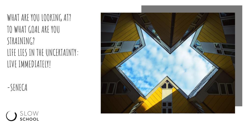 SchoolSlow's tweet image. Our what if's live more than us at times. Challenge them! 
@cryptoseneca @brainpicker @Zat_Rana 
#ConsciousConnection