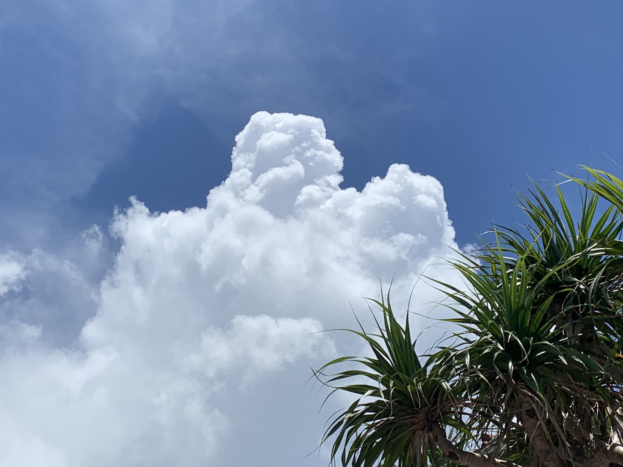 荒木健太郎 夏空が恋しい T Co O3sql7rn8o Twitter