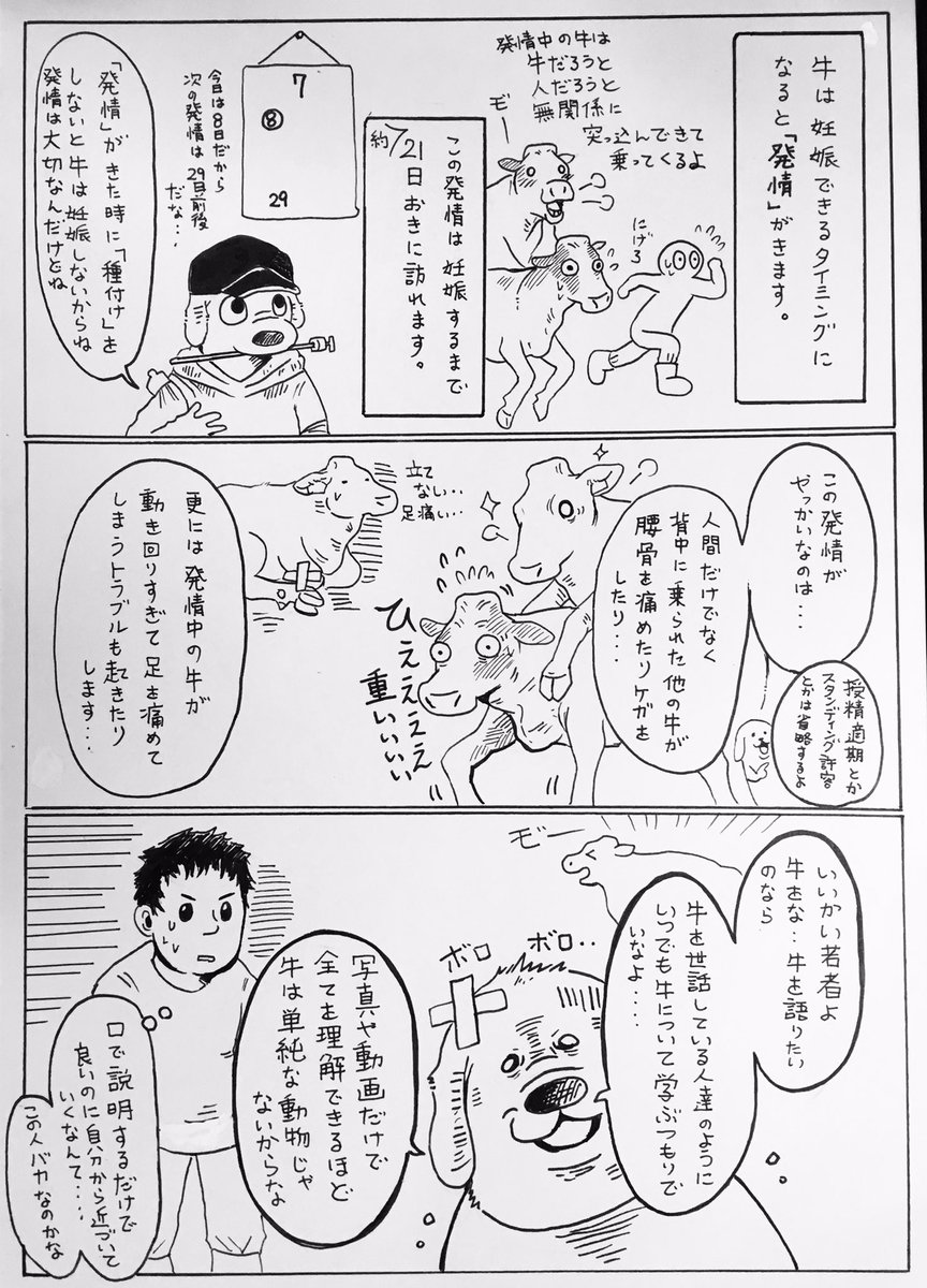 漫画 牛が鳴いていても近くには寄ってはいけない 酪農従業員さんの解説漫画がわかりやすいが恐ろしい Togetter