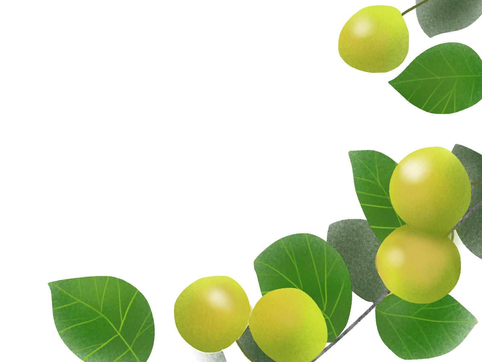 愛ちん ゆめみ愛 イラストacさん投稿の7月8日の誕生花 グァバ です 無料なので良かったらどうぞです T Co Ylut4tnqci 葉には 血糖上昇などを抑える効果があり 健康茶 グァバ茶 として有名です 素材 花 イラストac グァバ 愛ちん ゆめみ愛 イラストacさん投稿の7月8日の誕生花 グァバ です 無料なので良かったらどうぞです T Co Ylut4tnqci 葉には 血糖上昇などを抑える効果があり 健康茶 グァバ茶 として有名です 素材 花 イラストac グァバ