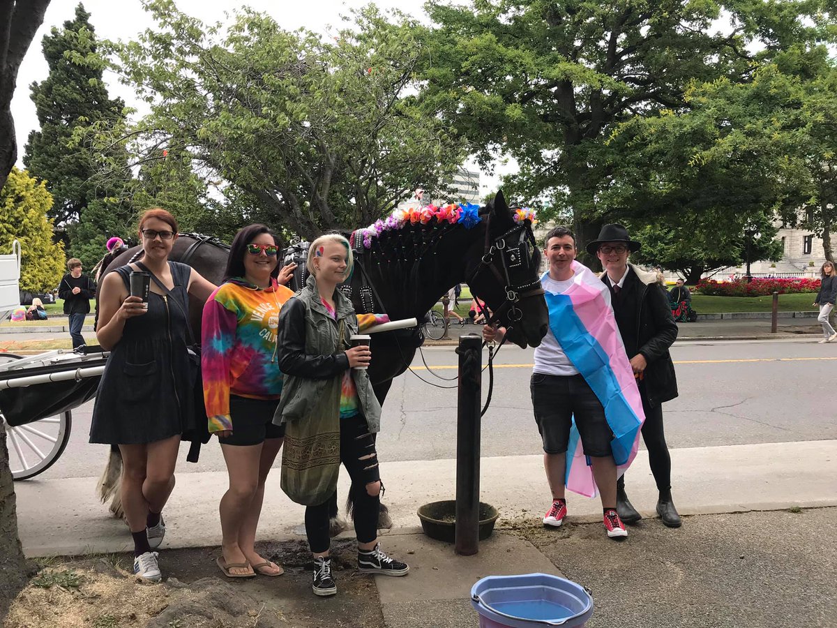 TallyHoVictoria's tweet photo. Happy #Pride, #yyj! Our drivers Kelly, Courtney, Elliott, and Megan alongside our horse Apollo. Photo by another driver, Carol! #yyj #HappyPride #HappyPride2019 #HappyPrideyyj #ExploreVictoria https://t.co/91VYkBeTfo