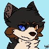 Hailu42's tweet photo. I did some pixelarts yaay
They are WetFeather, Yangin and Koyun.

#warriorcats #warriors #warriorcatsoc #art #illustration #digitalart #cat #sheep https://t.co/dTjGDOFL35