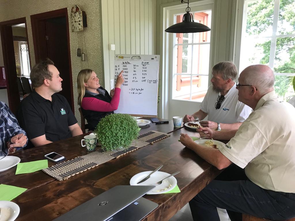 EllaAnu's tweet image. Discussion groups had meetings last week on monitor farms of Western Finland. Lucern, cocsfoot and tall fescue survived the drought best. Second cut in trouble again, luckily some clouds and rain coming and temperature just 15-18 'C #discussiongroups #bestpractises @ProAgria