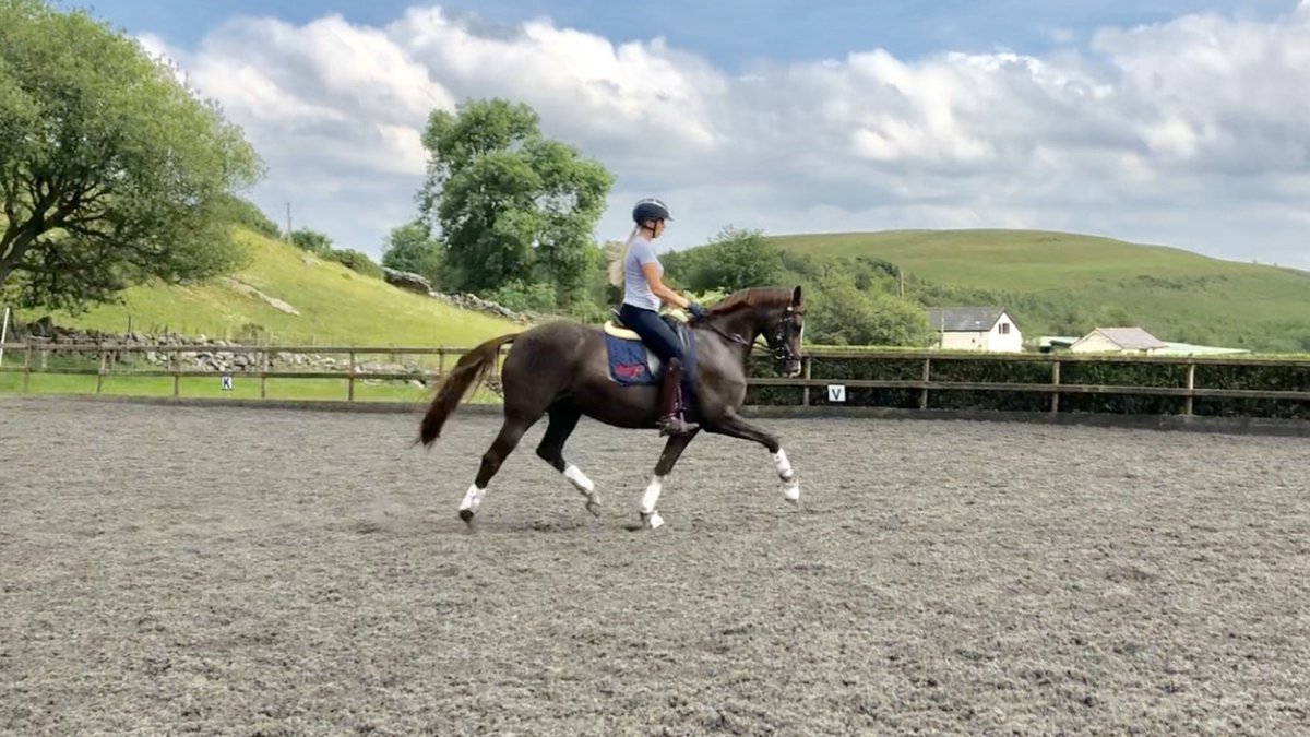 LaurFisher's tweet image. Princess living up to her name yesterday afternoon 😍 I’m so so proud of how far we’ve come together 💪🏼 #teamequissimo