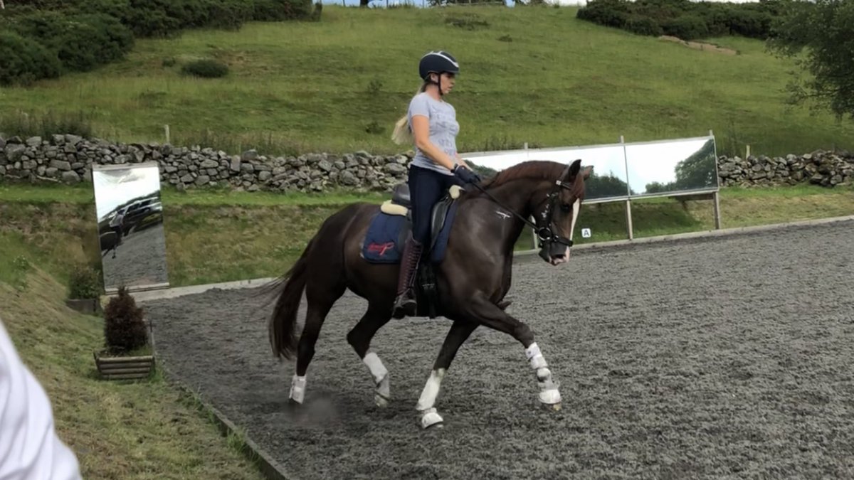 LaurFisher's tweet image. Princess living up to her name yesterday afternoon 😍 I’m so so proud of how far we’ve come together 💪🏼 #teamequissimo