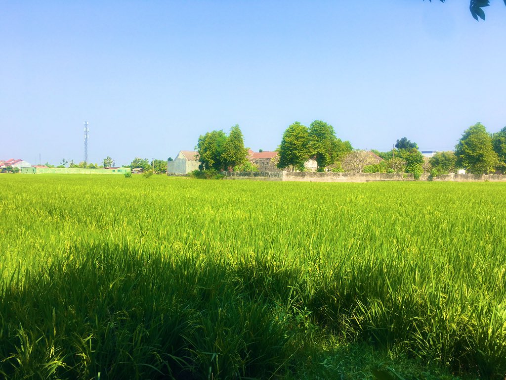 Just give me a second ...
Its feel nice.