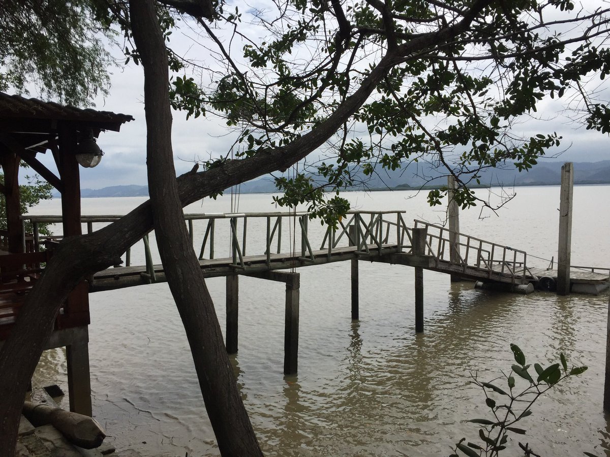 makrolgye's tweet photo. #saiananda
#Bahia https://t.co/AeJtPek2Xb