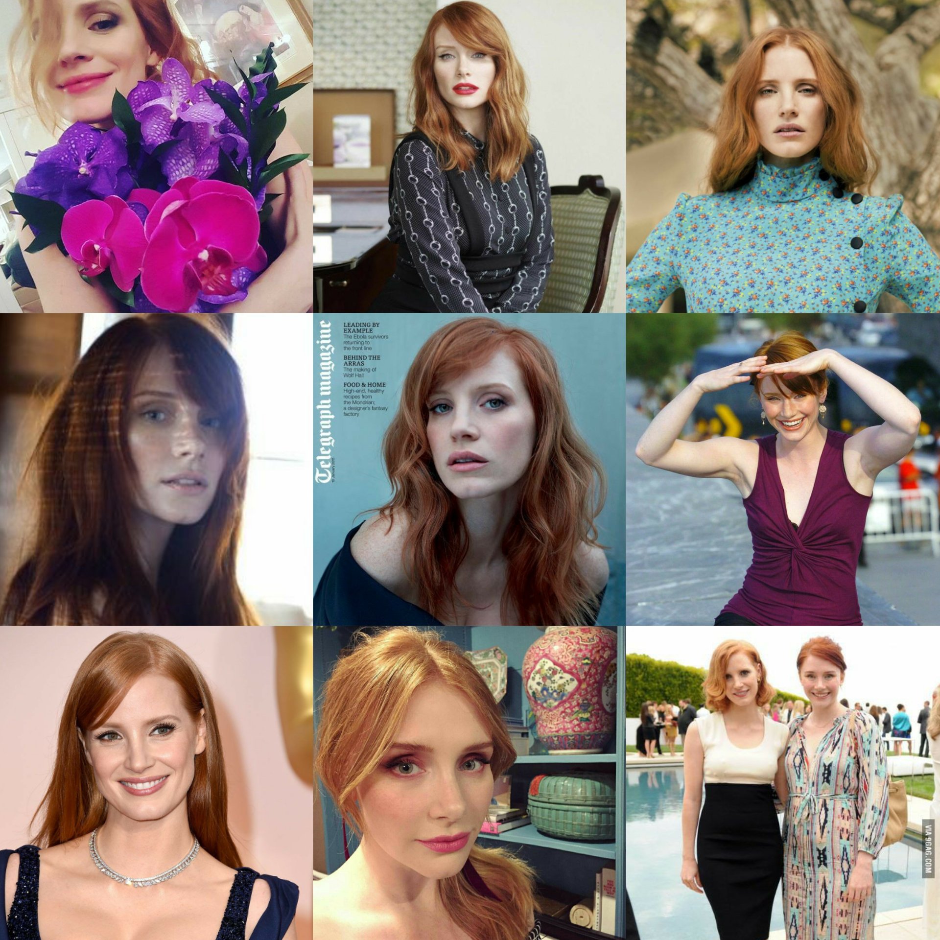 ﾉﾚナ ジェシカ チャステインさんとブライス ダラス ハワードさんが似てるってご本人たちも公認の世界規模なネタだけどさ よく見たらぜんぜん似てな に 似て に う うんどちらもほんとうに素敵だなぁ T Co Ilmy1nb8li Twitter